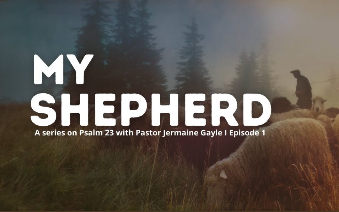 My Shepherd